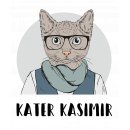 Kater Kasimir