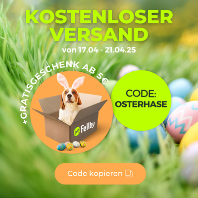 Klicken Sie hier, um den Gutscheincode zu kopieren