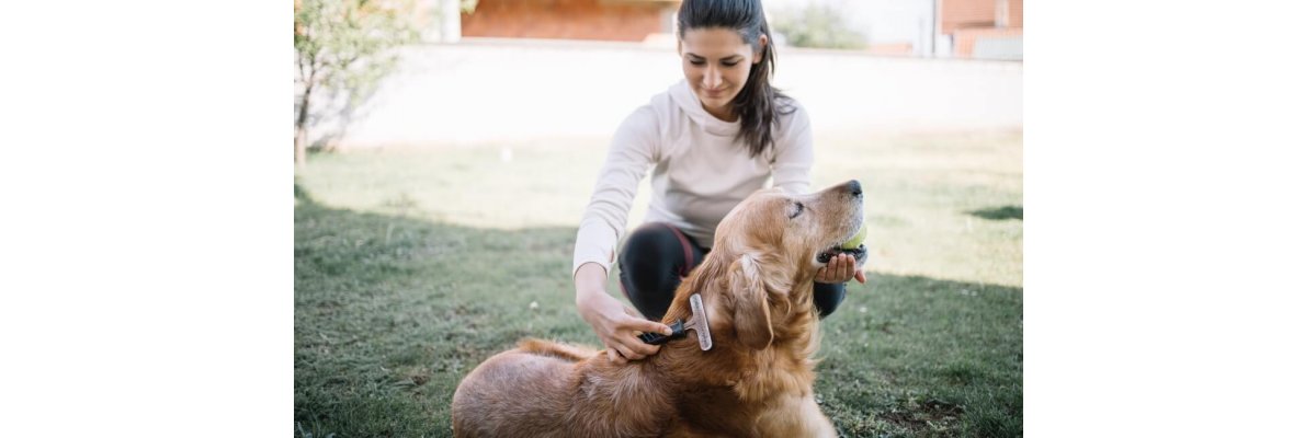 Unsere Fellpflege Tipps für gesundes Hundefell