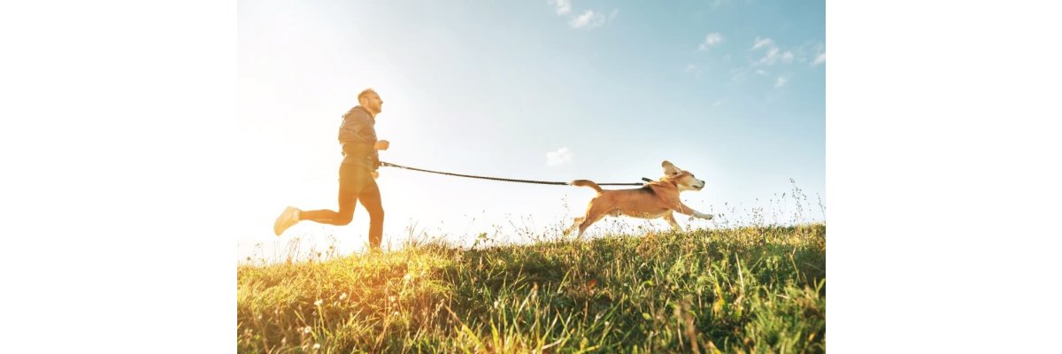 Was ist Canicross? - Was ist Canicross? Neuer Hundesport erklärt.