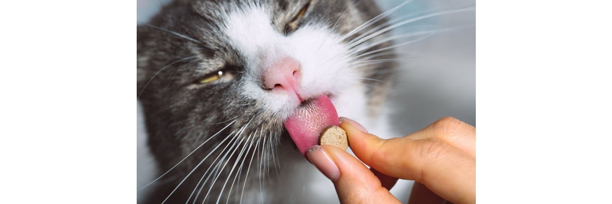 Die Welt der Katzen: Alles über Vitamine und Nahrungsergänzungsmittel - Die Welt der Katzen: Alles über Vitamine und Nahrungsergänzungsmittel