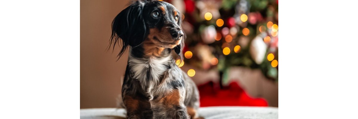 Geschenke für Tierbesitzer