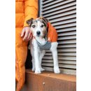 Wouapy Hundepullover Swea Duo Orange