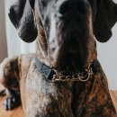 Hunter Halsung mit Kette Aalborg Schwarz 55 cm/L