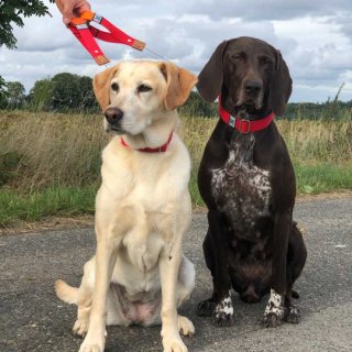 emma one hundebett Hundebett EMMA