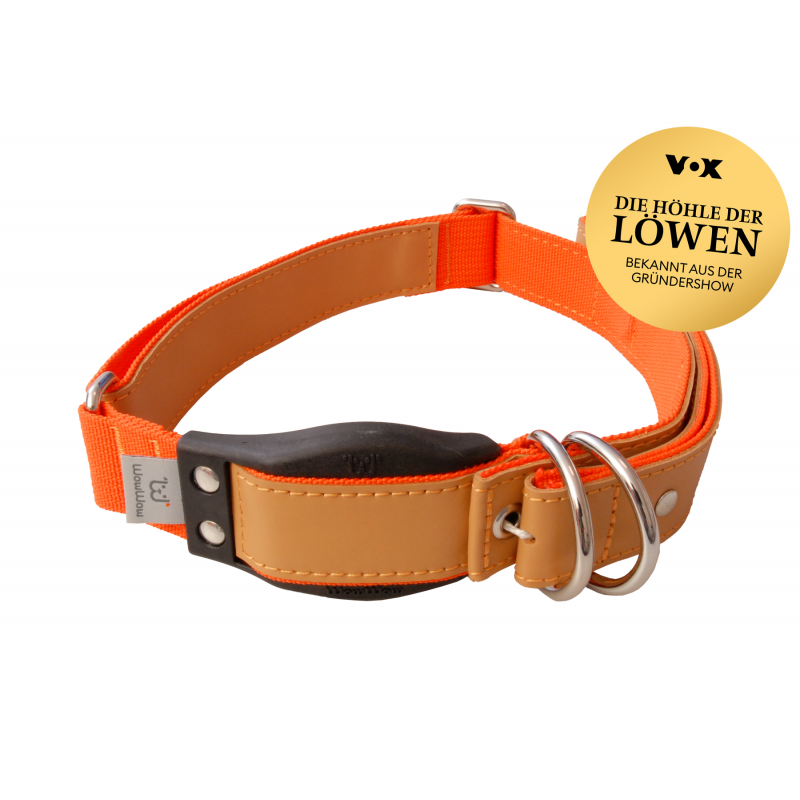 hundemantel mit bauchschutz hündin Hundemantel mit BAUCHSCHUTZ | Hundemantel für Weibchen main image 1