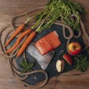 Liebesgut Katzennassfutter Bio Lachs mit Apfel und Karotte