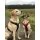 WowWow Hundegeschirr mit integrierter Leine Harness Khaki M - Brustumfang 56-80 cm / Halsumfang 46-73 cm