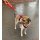 WowWow Hundegeschirr mit integrierter Leine Harness Khaki L - Brustumfang 67-98 cm / Halsumfang 54-92 cm