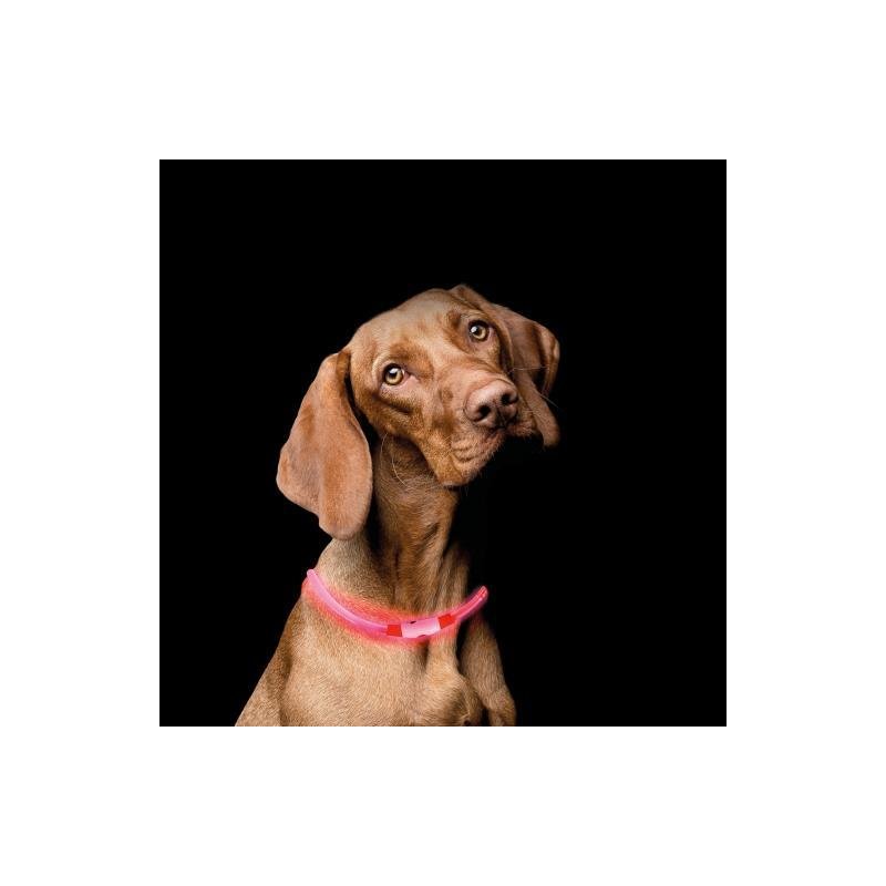 Fellou Lightwolf LED Hundehalsband