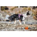 Non-stop dogwear Hundegeschirr Ramble Harness Orange