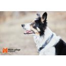 Non-stop dogwear Halsband Cruise Collar Orange