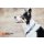 Non-stop dogwear Halsband Cruise Collar Schwarz