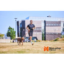 Non-stop dogwear Leine Move Leash Orange L 1,7m, B 20mm
