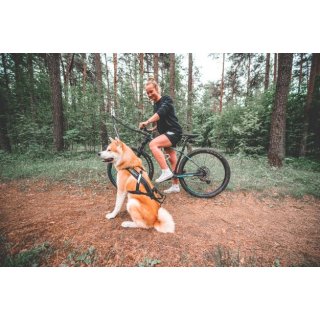 Non-stop dogwear Fahrradantenne fr Hundeleine - fellby.de