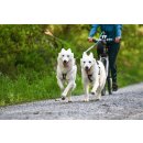 Non-stop dogwear KlickFix Fahrradantenne f&uuml;r Hundeleine