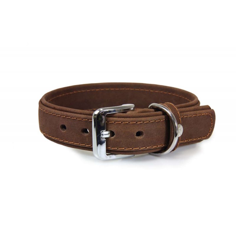 Das Lederband Hundehalsband Boston Mocca