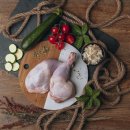 Liebesgut Katzennassfutter Junior Bio Huhn mit Kokosflocken und Zucchini