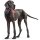 Hunter Geschirr Neopren Rot/Schwarz 60-76 cm/M-L