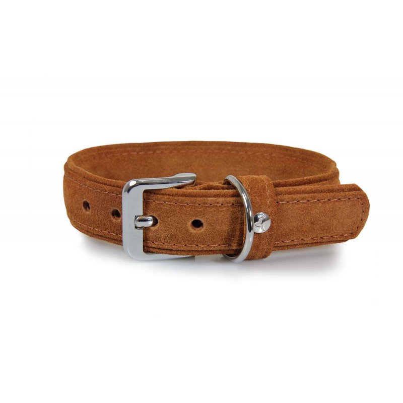 Das Lederband Hundehalsband Toronto Cognac