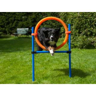 Procyon Dog Agility Set Für Einsteiger - 3 Hürden & 12 Slalomstangen