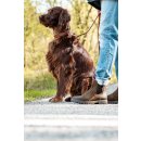 Blue Heeler Chelsea Boots Fraser Gr&uuml;nbraun 41