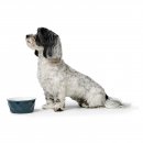 Hunter Keramik-Napf Eiby Dunkelblau 1100 ml