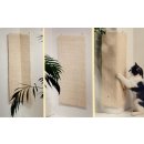 Silvio Design Kratzecke 52 Braun