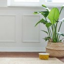 Hunter Keramik-Napf Eiby Senfgelb 1900 ml