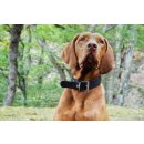 Das Lederband Hundehalsband Weinheim Schwarz B 16 mm / L 32 cm
