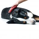 Hunter Hunde Wellness Massage Striegel