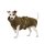 Lill`s Hundebademantel aus Bio-Baumwolle Oliv 4XS