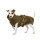 Lill`s Hundebademantel aus Bio-Baumwolle Oliv 3XS