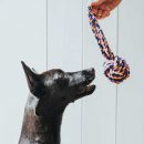 Hunter Hundespielzeug Jena Handschlaufe 24 cm