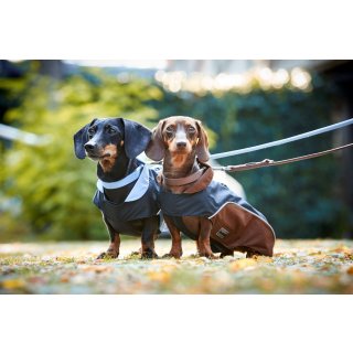 hundeleine welpen Welpenleinenseil braun | Drews Hundebekleidung