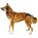 Trixie Schutzh&ouml;schen M/Taillenumfang: 40-49 cm