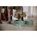 Kentucky Dogwear Futternapf Marble Gr&uuml;n