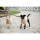 Kentucky Dogwear Hundepullover Teddy Fleece Beige L 70cm
