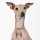 Tinklylife Halskette für Hunde Blume M