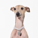 Tinklylife Halskette für Hunde Perlen