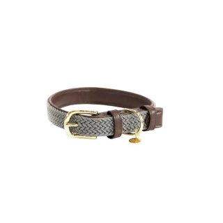 Kentucky Dogwear Hundehalsband geknüpftes Nylon Grau