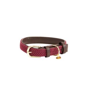 Kentucky Dogwear Hundehalsband geknüpftes Nylon Bordeaux