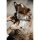 Kentucky Dogwear Hundehalsband Traingle Taupe