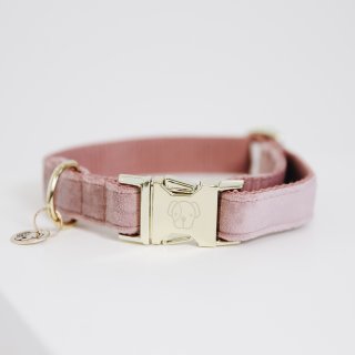 Kentucky Dogwear Hundehalsband Velvet Rosa