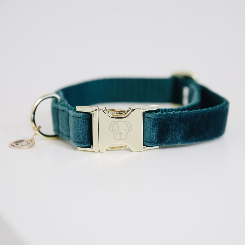 Kentucky Dogwear Hundehalsband Velvet Blaugrn