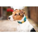 Kentucky Dogwear Hundehalsband Velvet Blaugrün