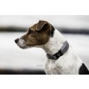 Kentucky Dogwear Hundehalsband Reflective Grau