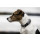 Kentucky Dogwear Hundehalsband Reflective Grau XS25-38cm