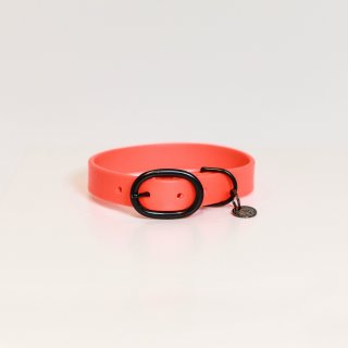 Kentucky Dogwear Hundehalsband Soft Rubber Orange