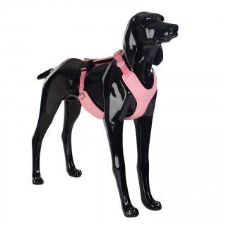 Paikka Hundegeschirr Visibility Rosa M